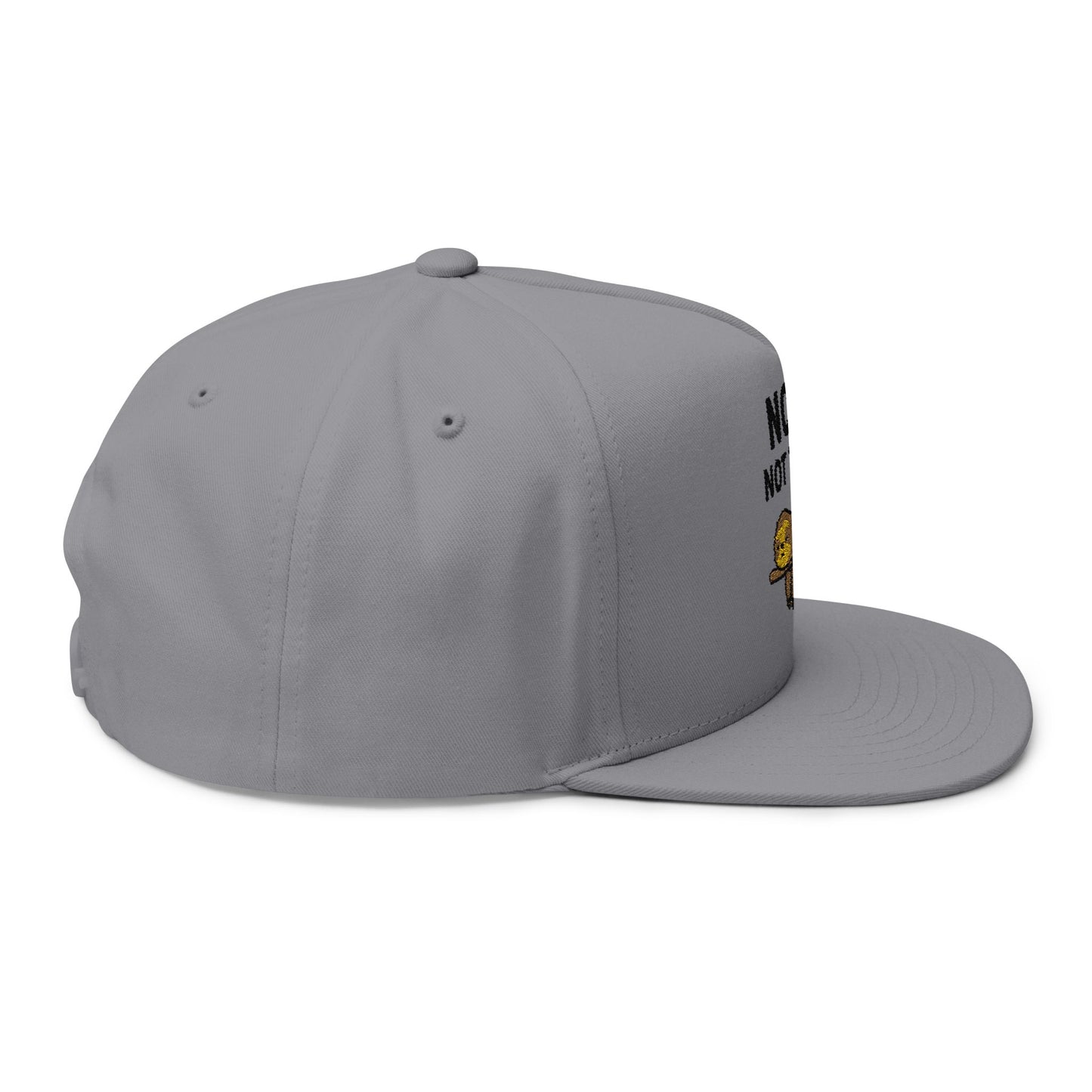 Nope. Not Today. Sloth Cap 🦥