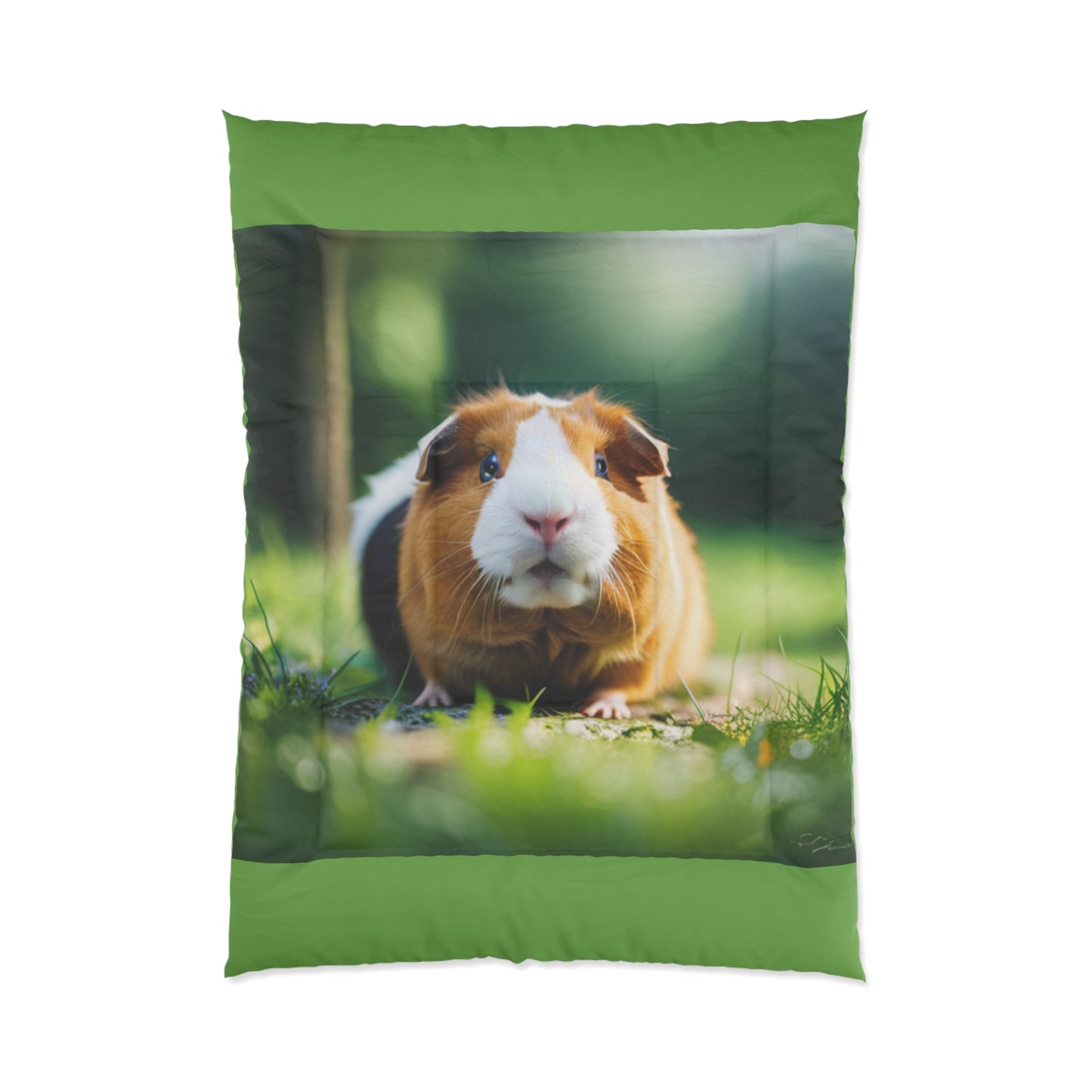 Comforter (Guinea Pig)
