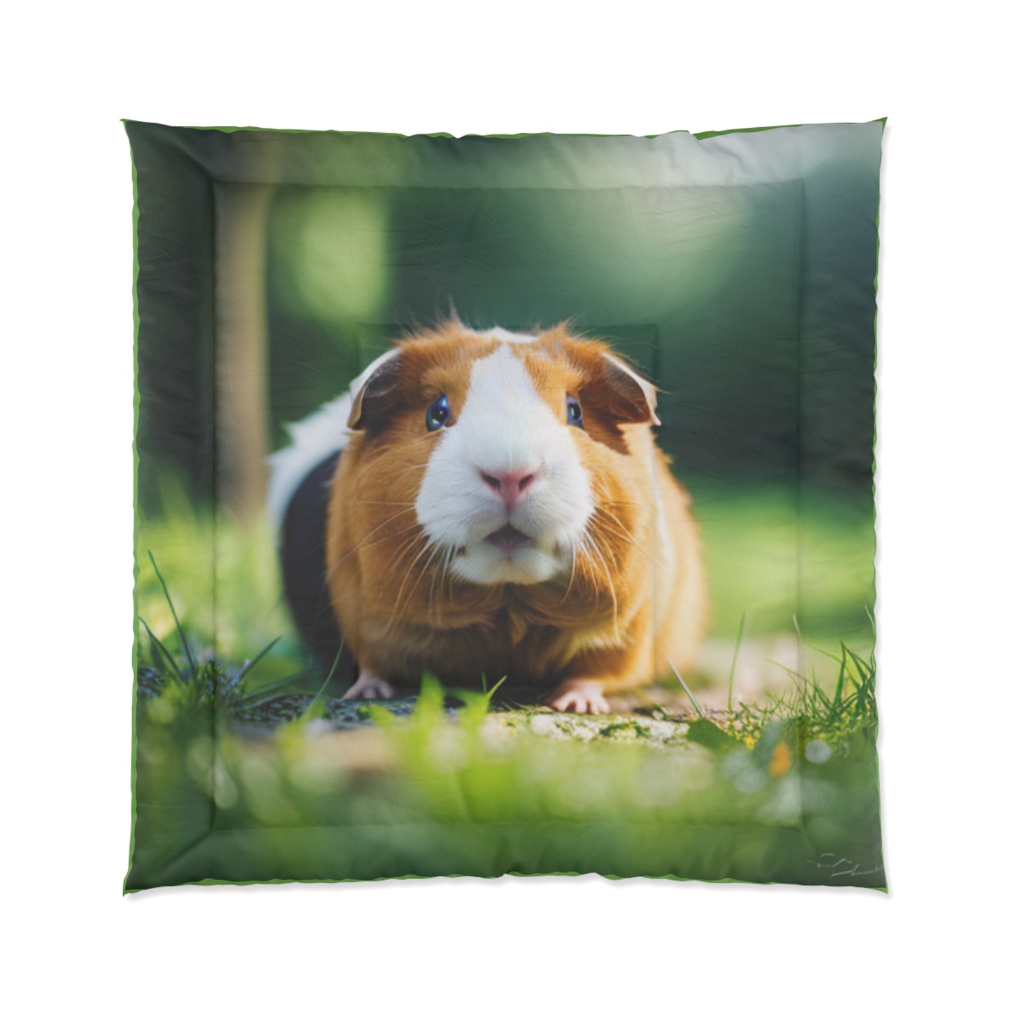 Comforter (Guinea Pig)