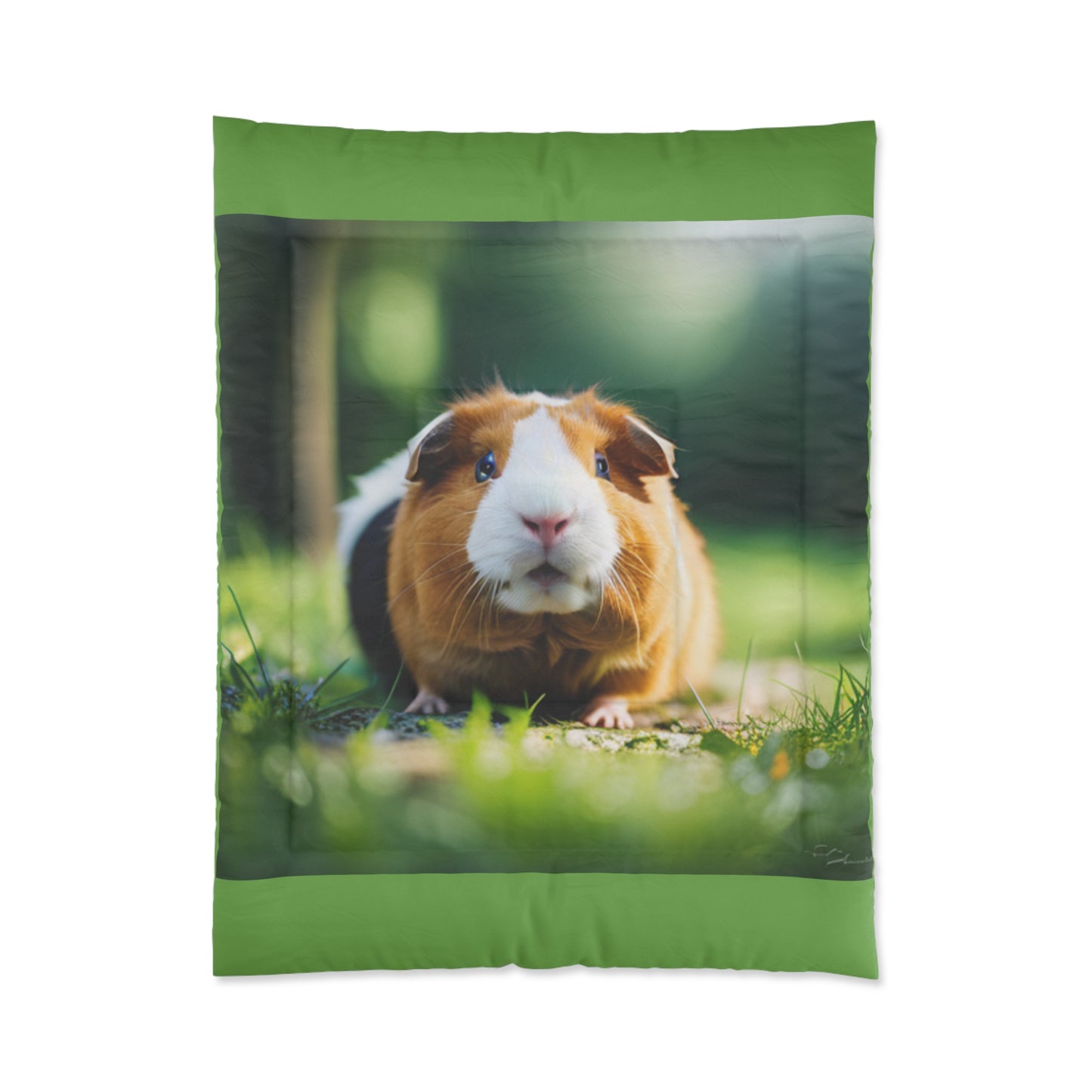 Comforter (Guinea Pig)