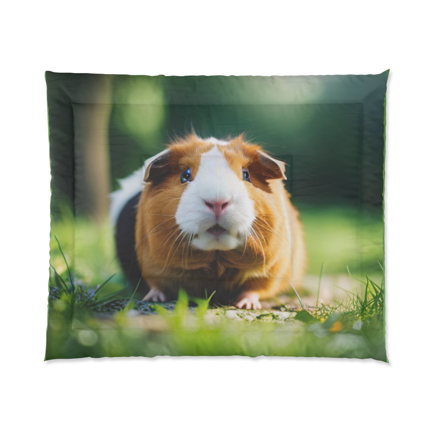 Comforter (Guinea Pig)