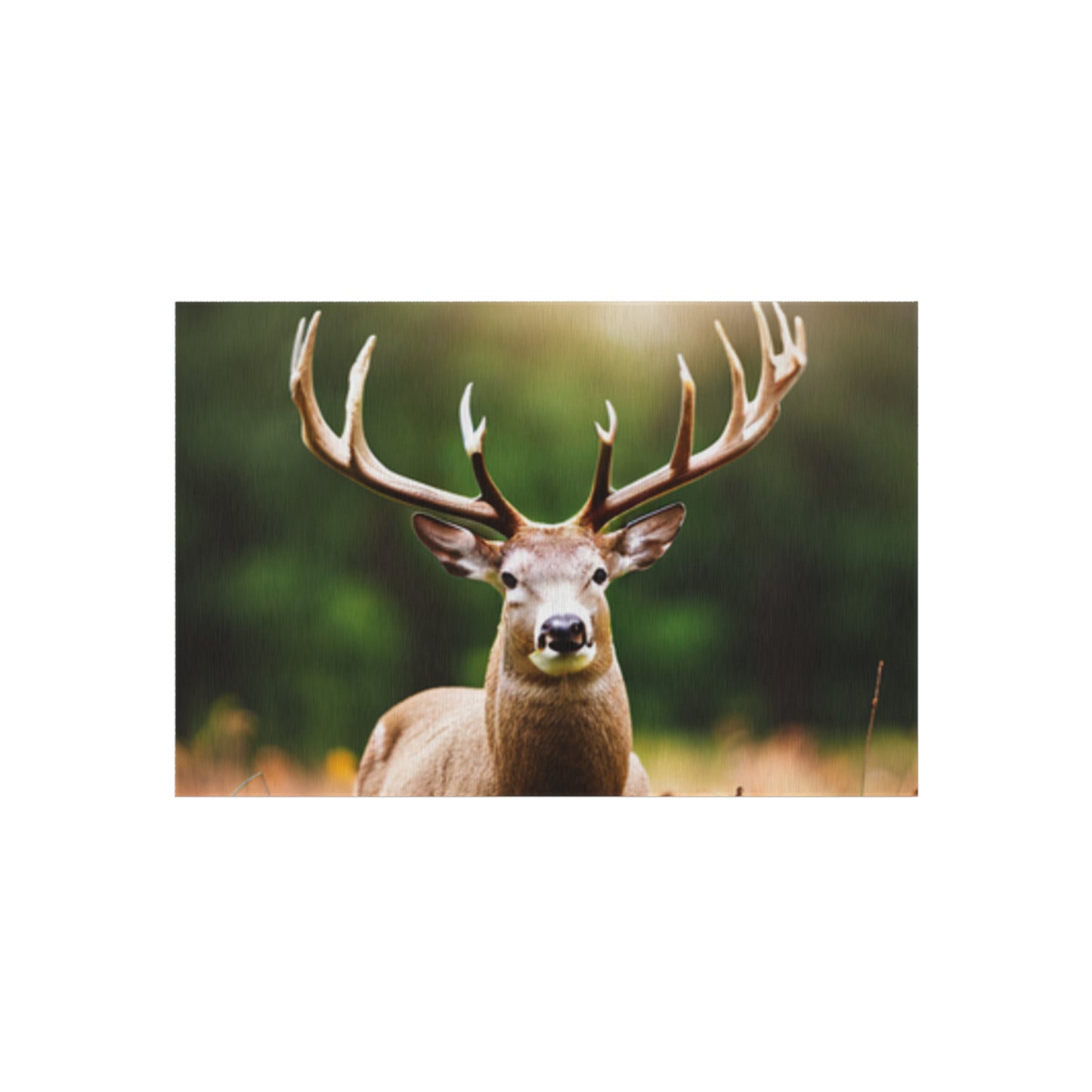 Outdoor Rug (Deer/Buck)