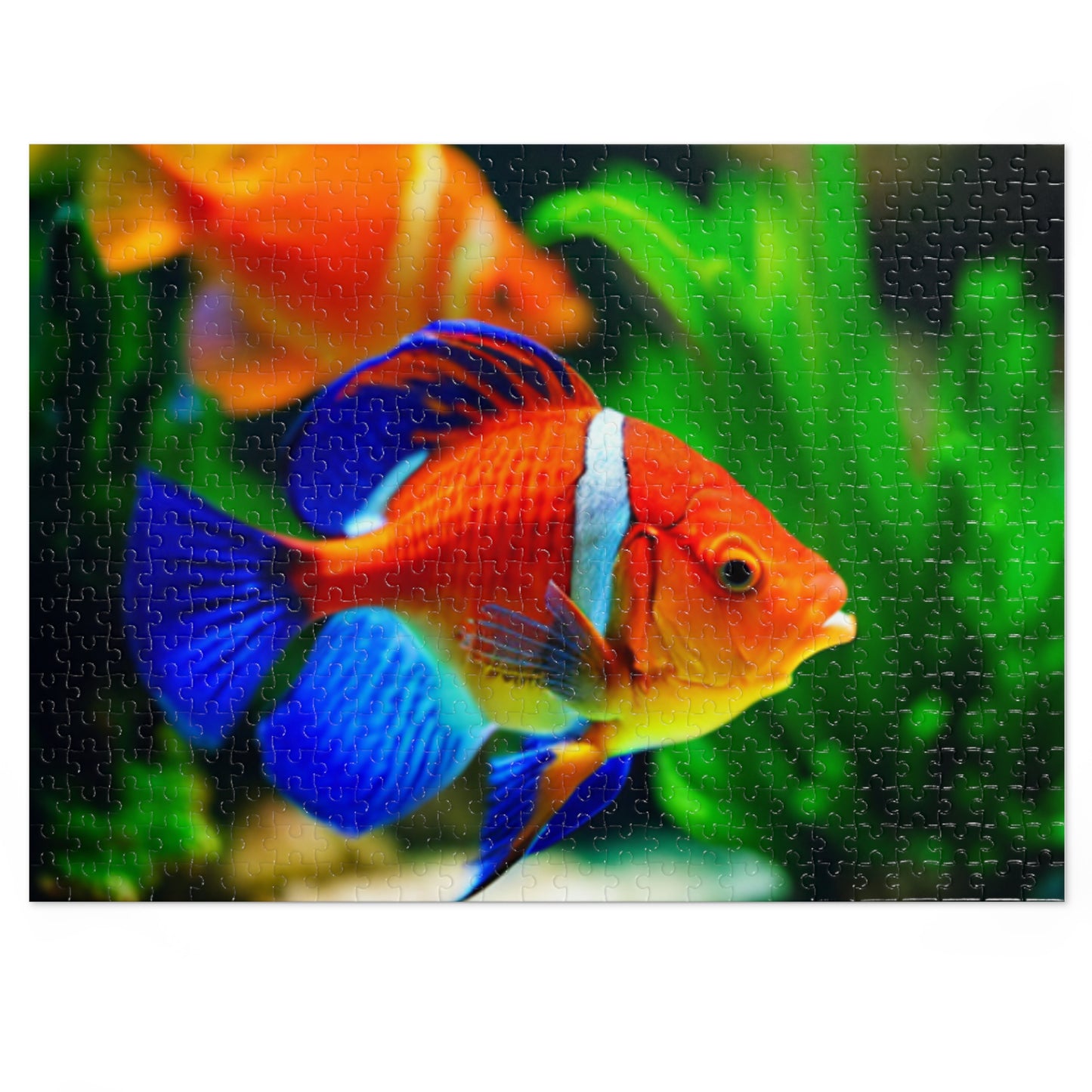 Jigsaw Puzzle (30, 110, 252, 500, and 1000-Piece) (Orange Fish)