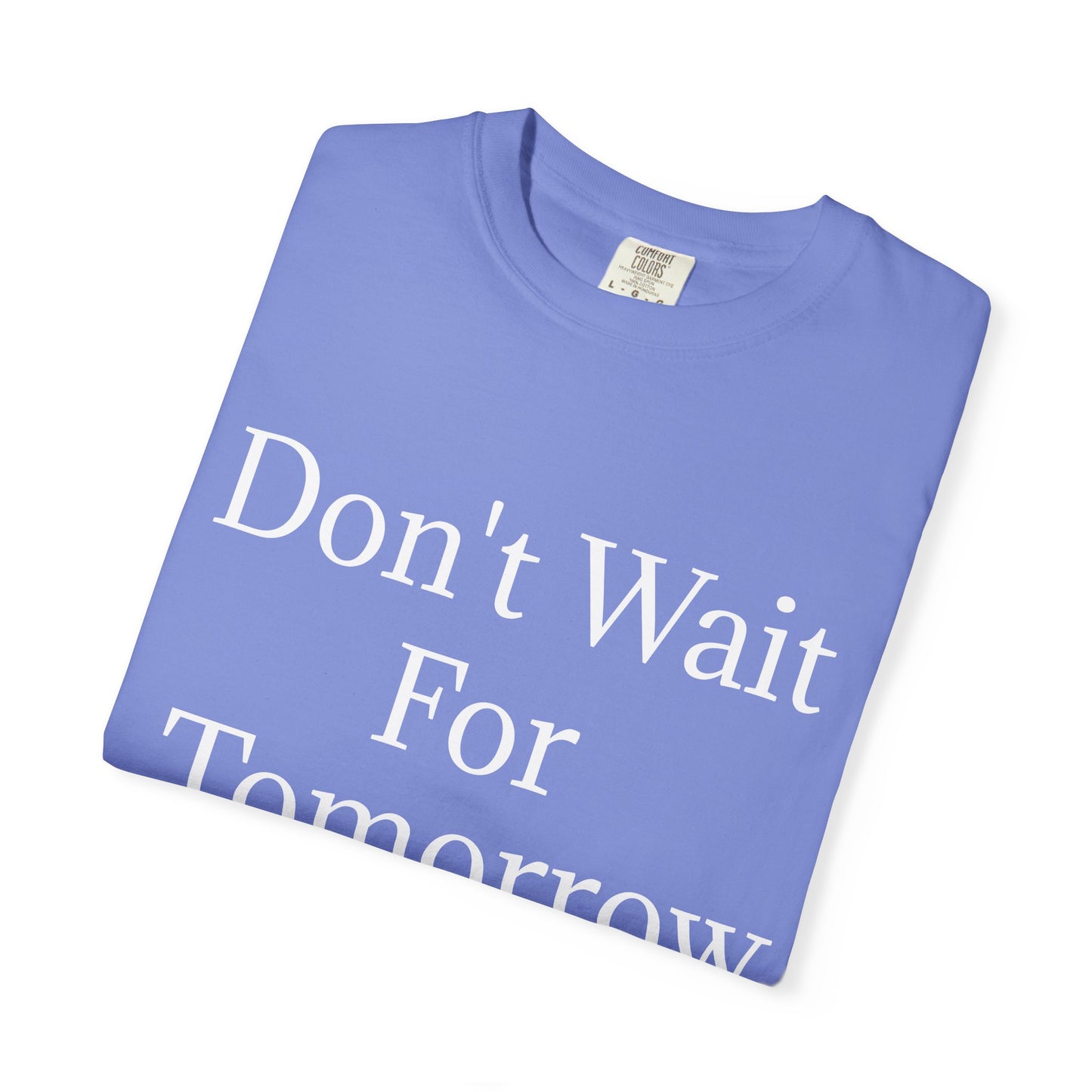 Unisex Garment-Dyed T-shirt (Don't Wait)