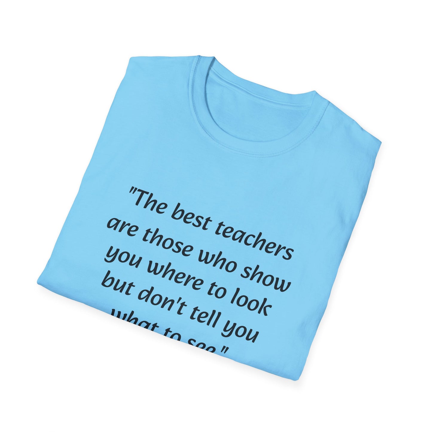 Unisex Softstyle T-Shirt (Best Teachers)