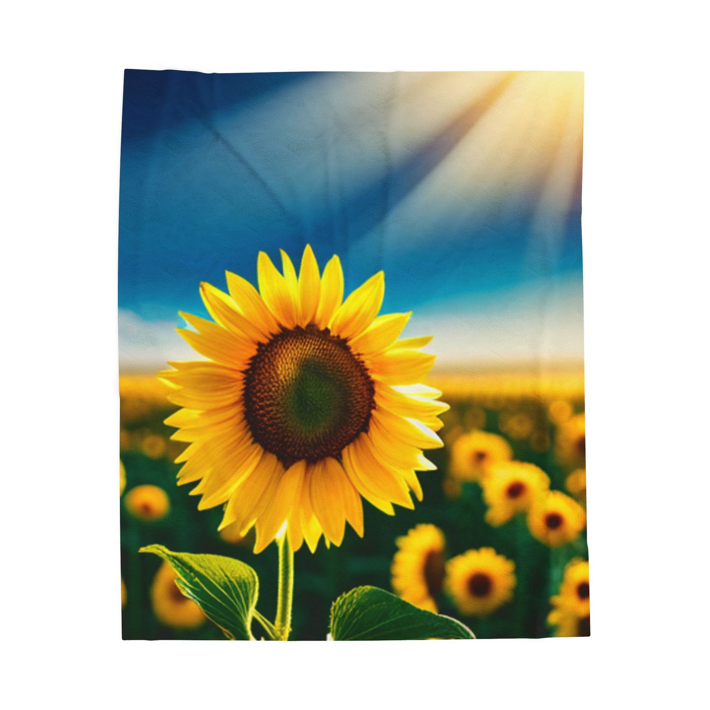 Velveteen Plush Blanket (Sunflower)
