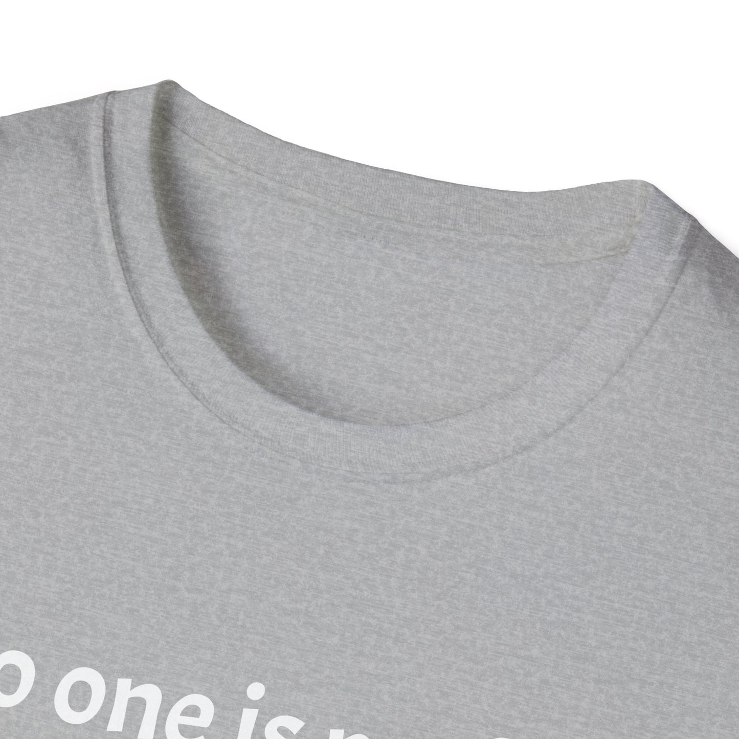 Unisex Softstyle T-Shirt (No one is perfect)