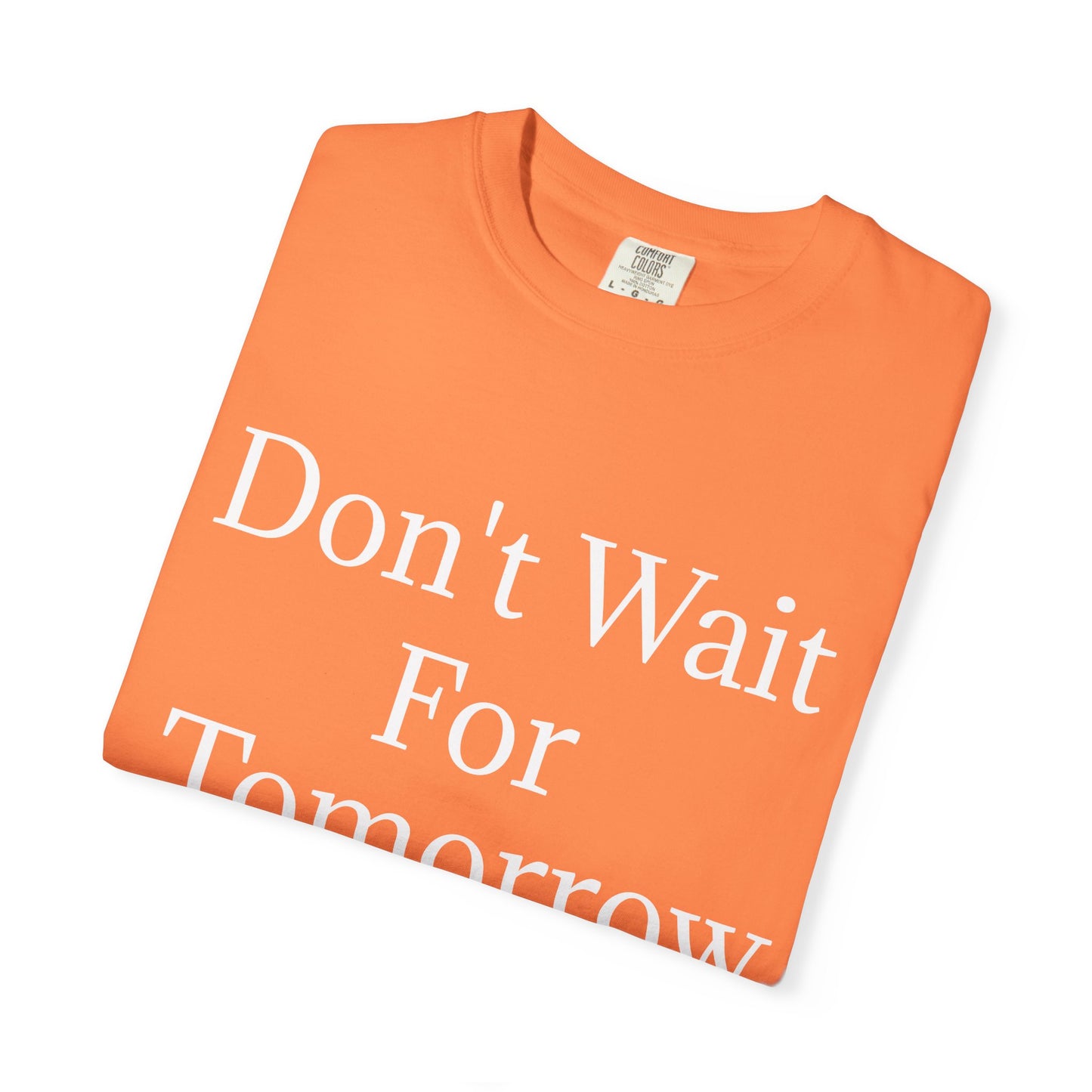 Unisex Garment-Dyed T-shirt (Don't Wait)