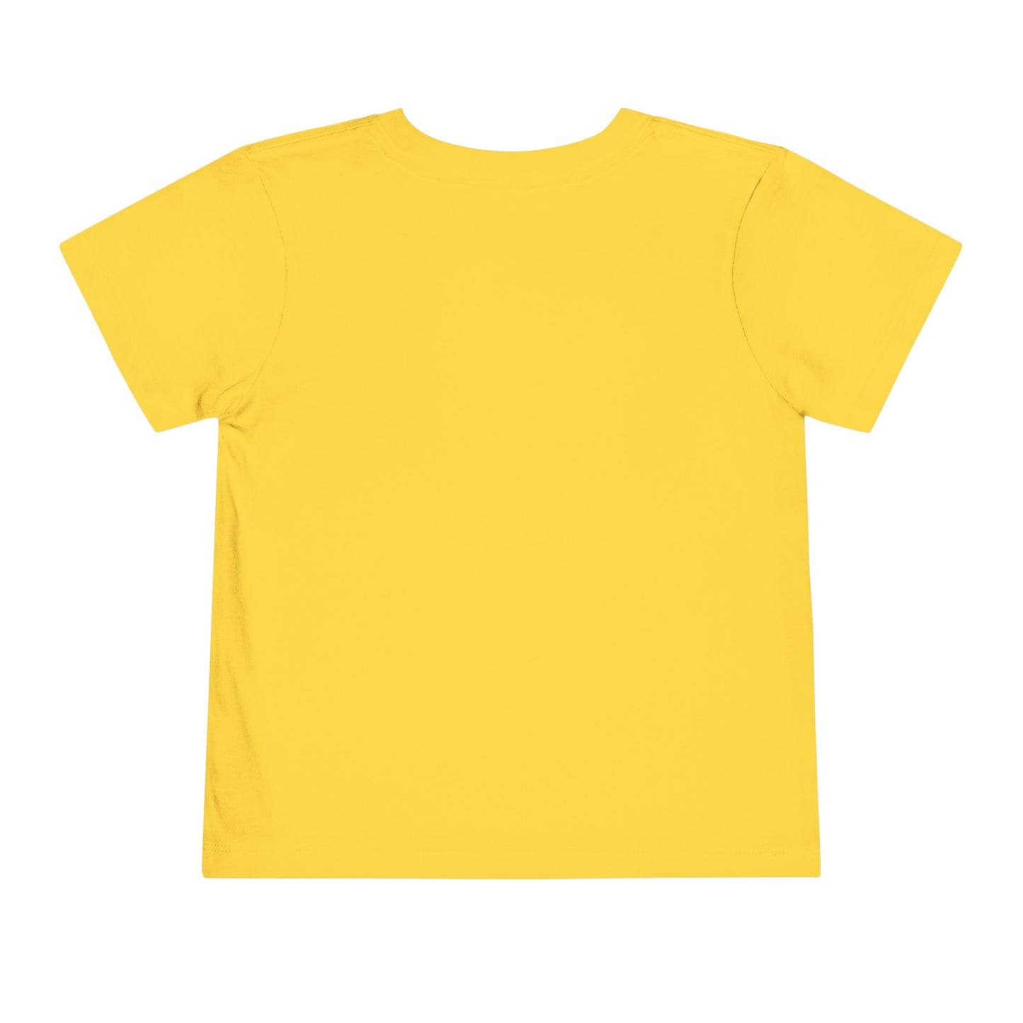 Toddler Short Sleeve Tee (Dolphin Beach Ball)