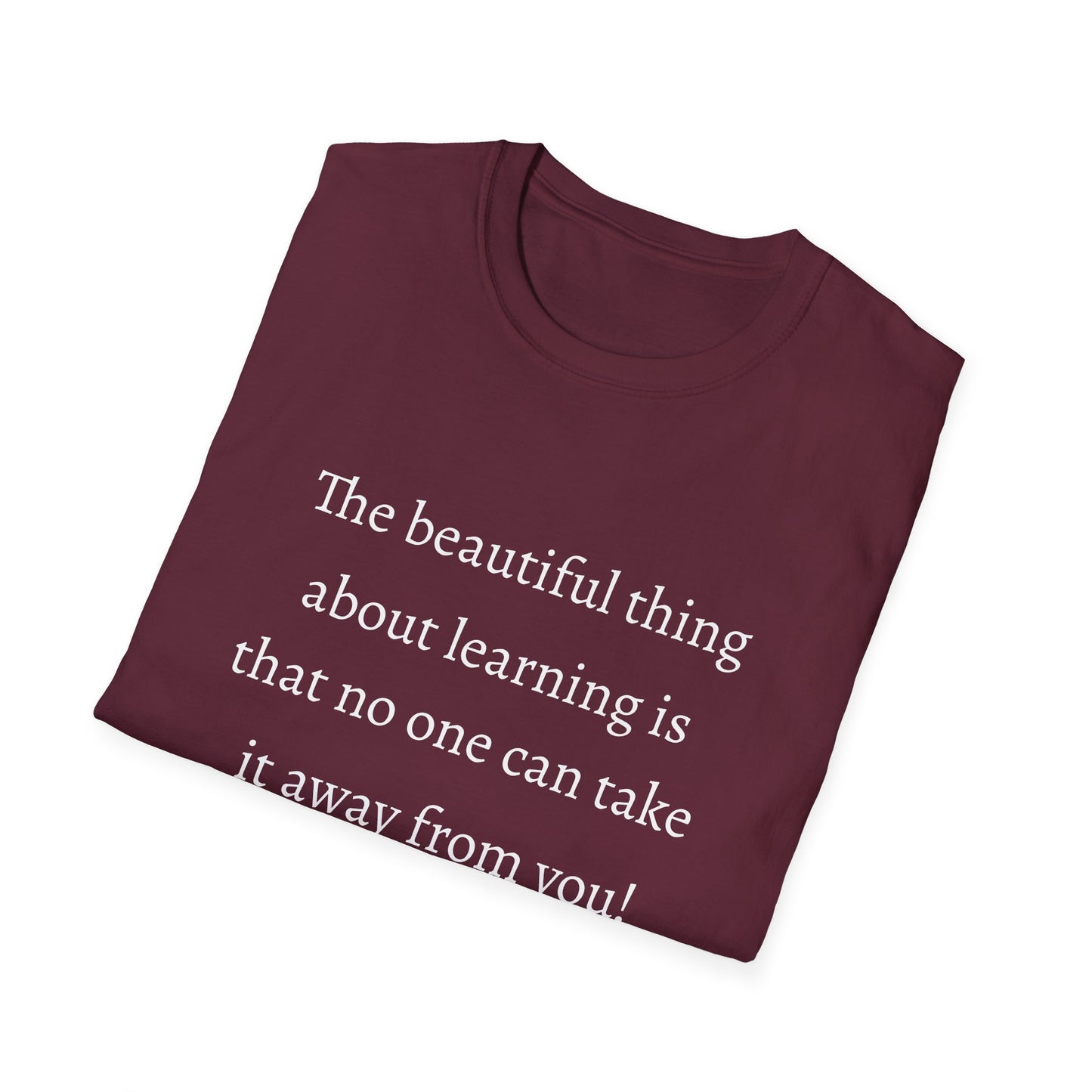 Unisex Softstyle T-Shirt (Beautiful Thing)