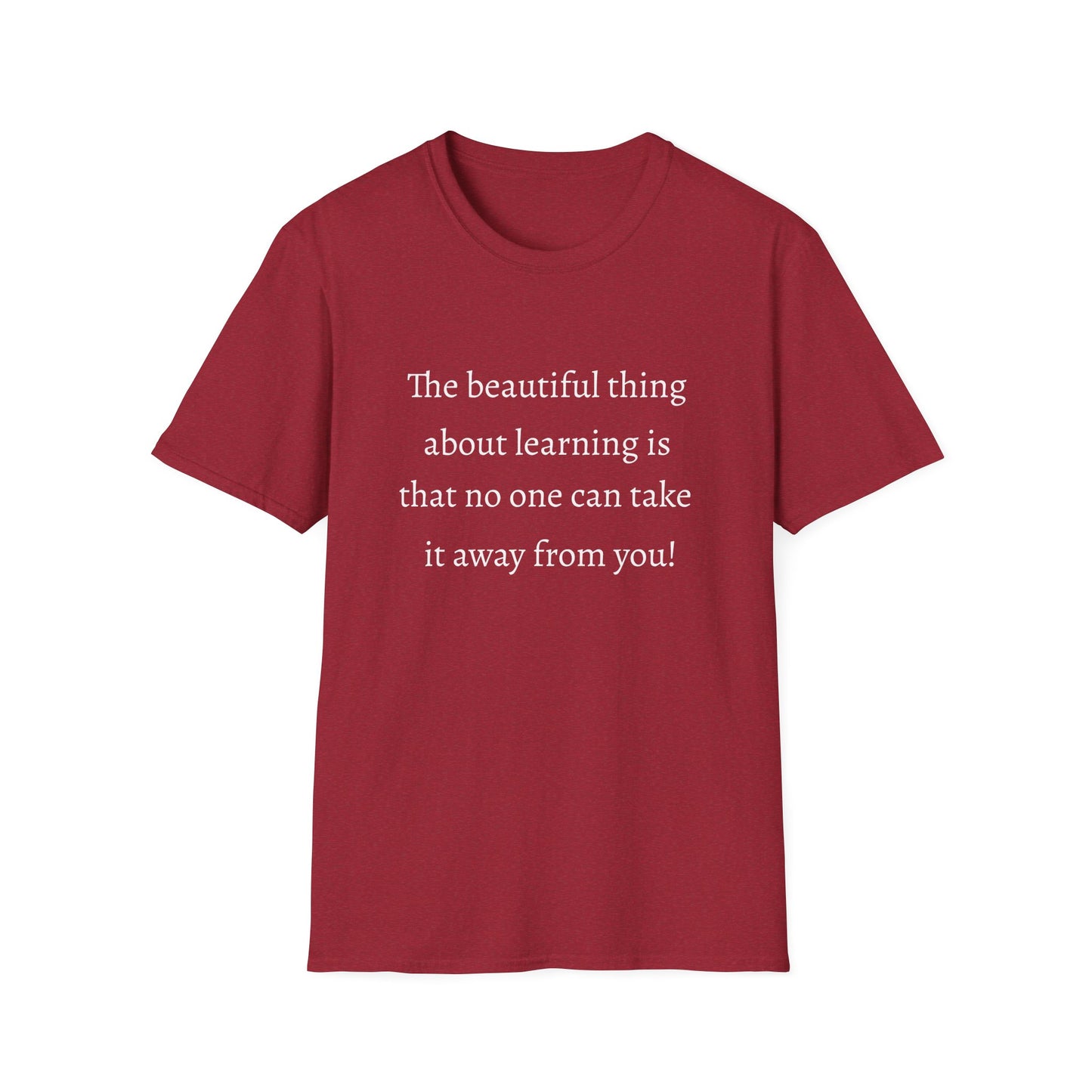 Unisex Softstyle T-Shirt (Beautiful Thing)