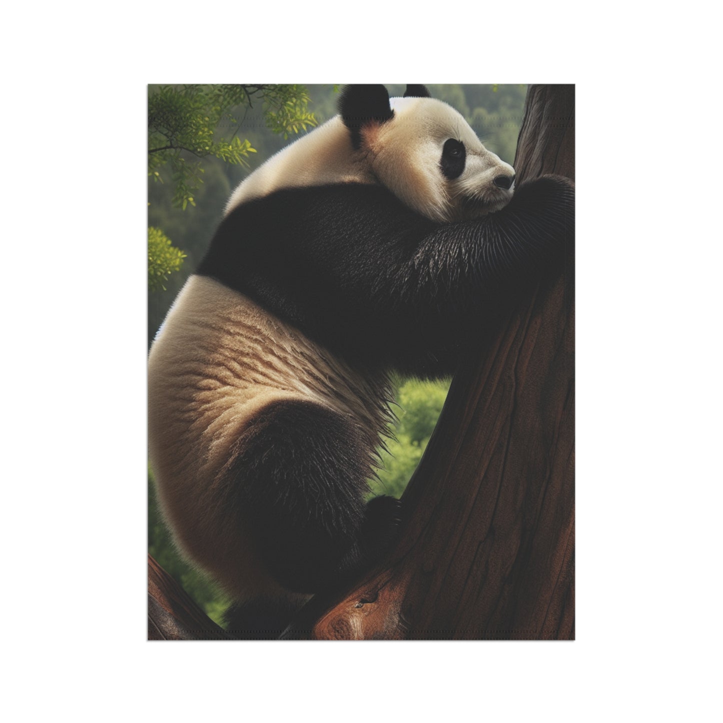 Garden & House Banner