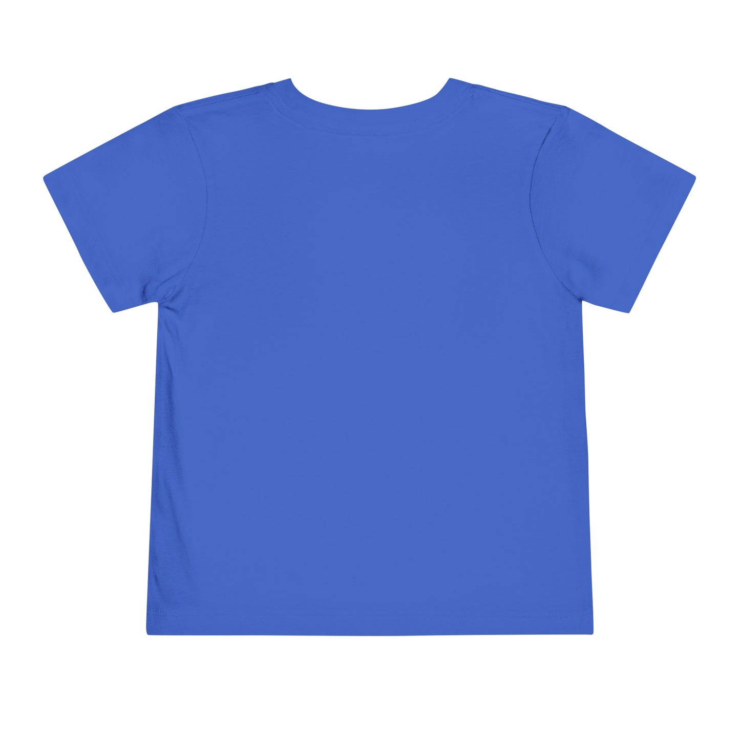 Toddler Short Sleeve Tee (Dolphin Beach Ball)
