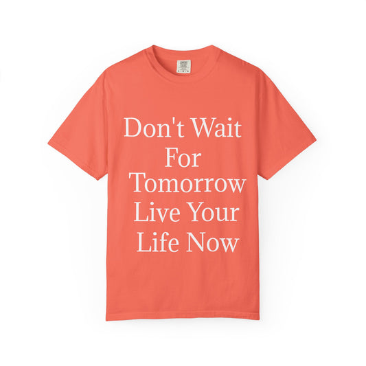 Unisex Garment-Dyed T-shirt (Don't Wait)