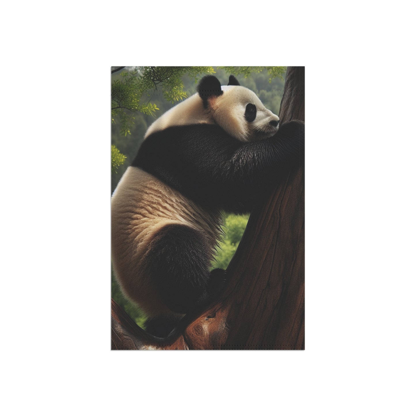 Garden & House Banner