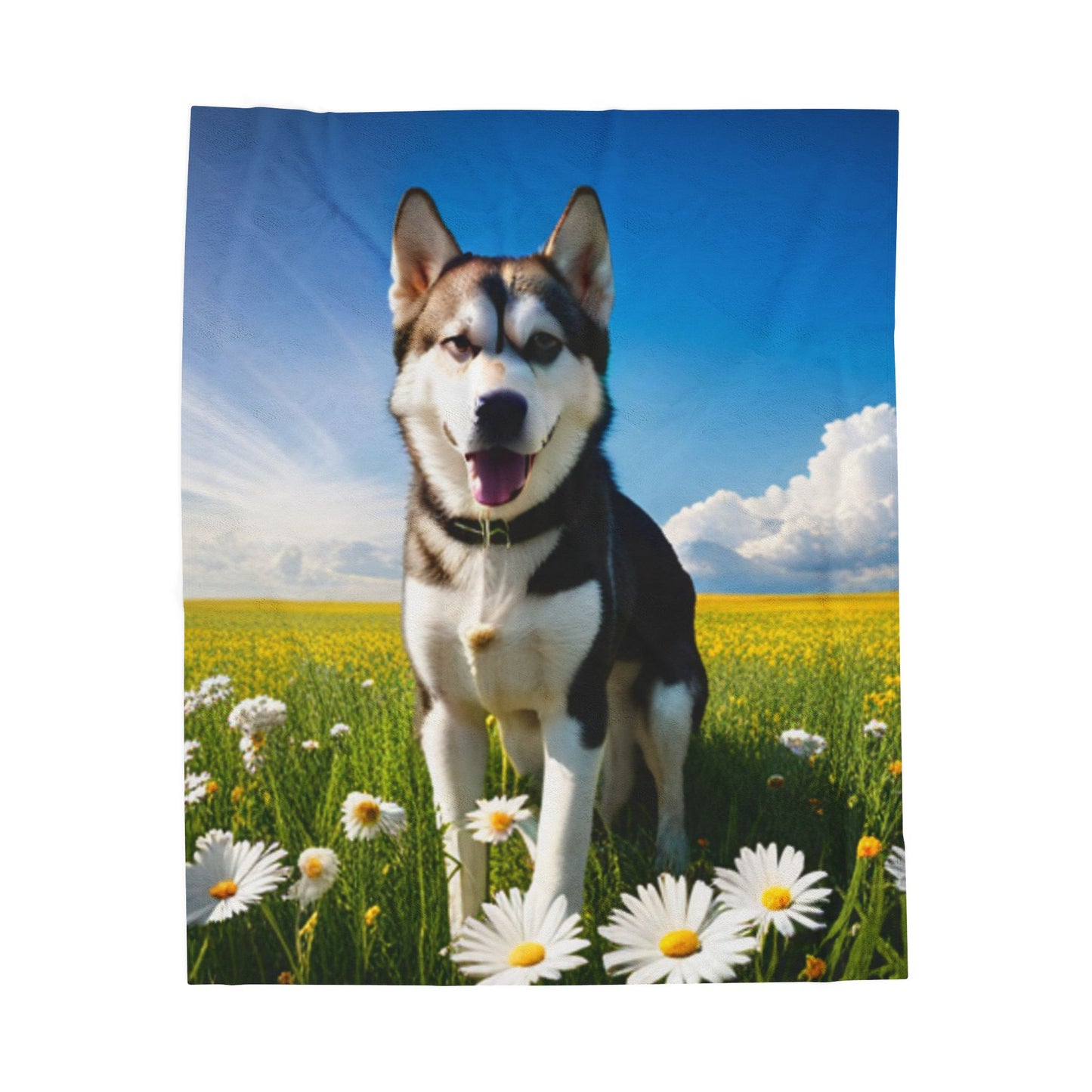 Velveteen Plush Blanket (Husky)