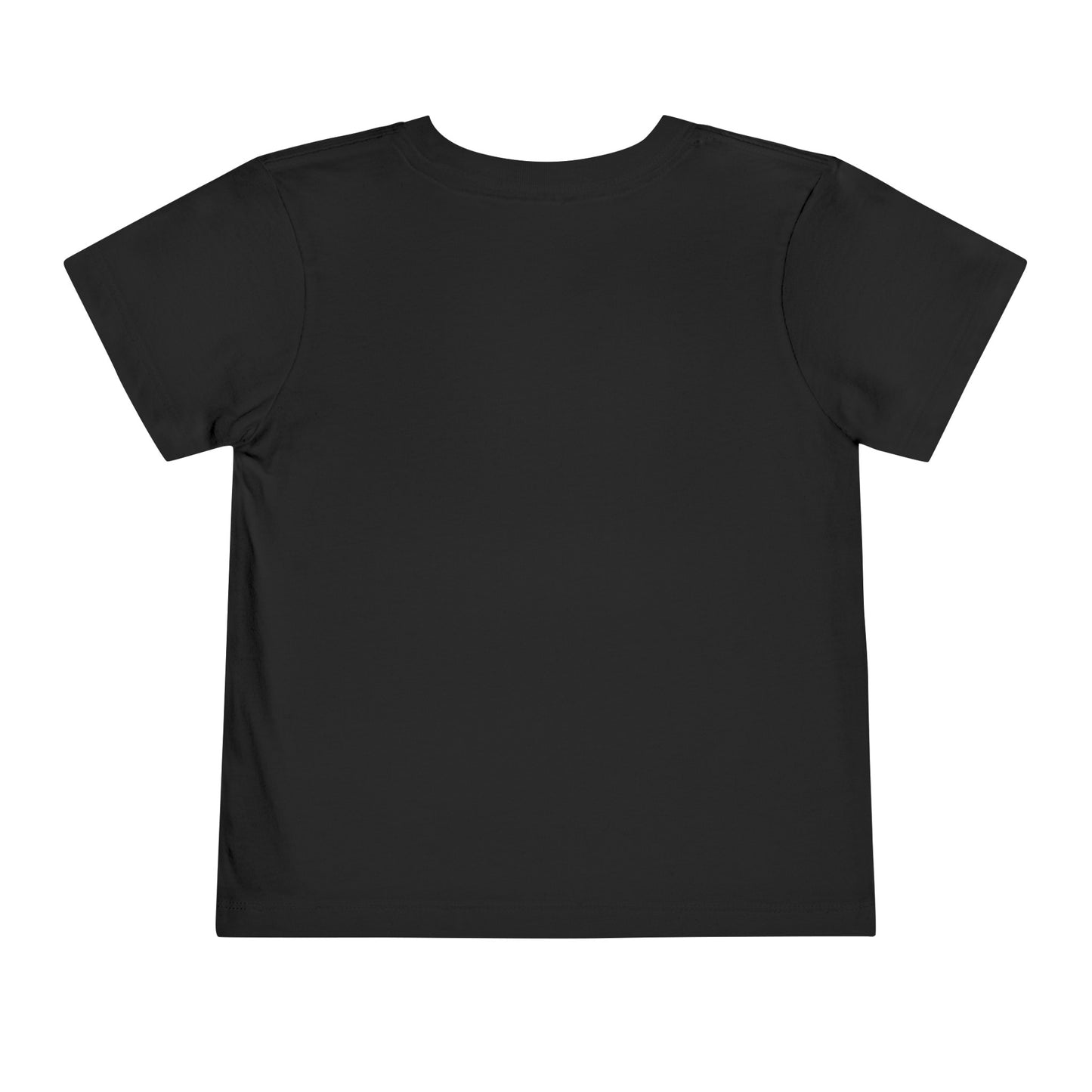 Toddler Short Sleeve Tee (Dolphin Beach Ball)