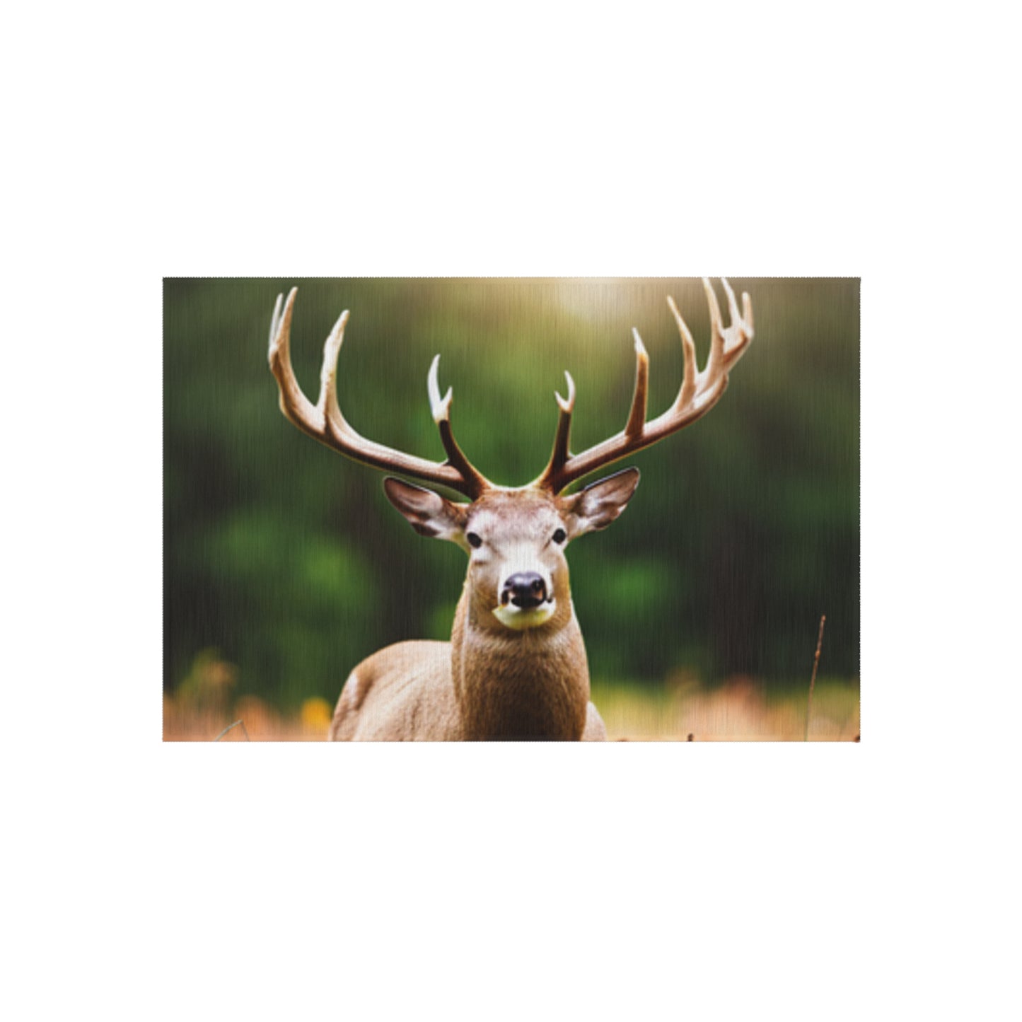 Outdoor Rug (Deer/Buck)