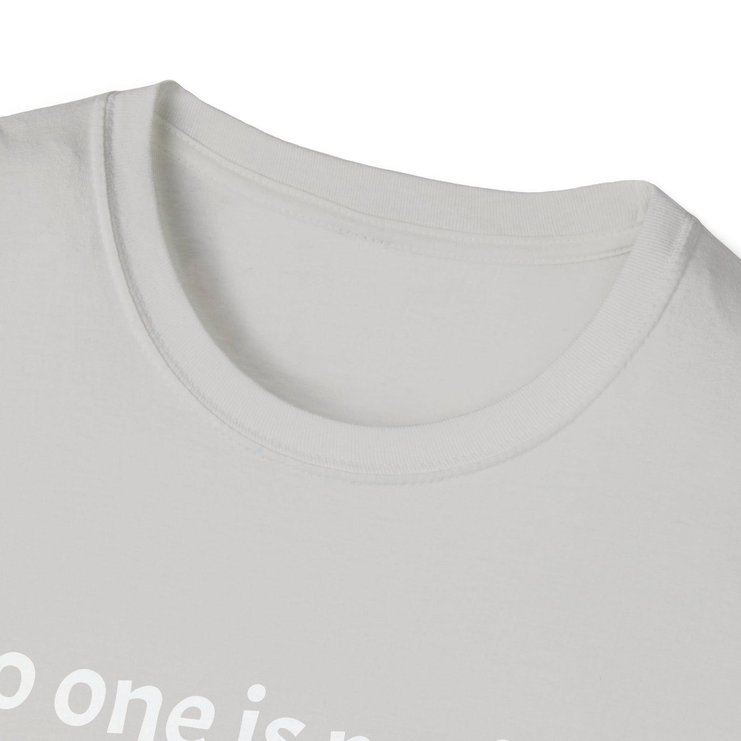 Unisex Softstyle T-Shirt (No one is perfect)