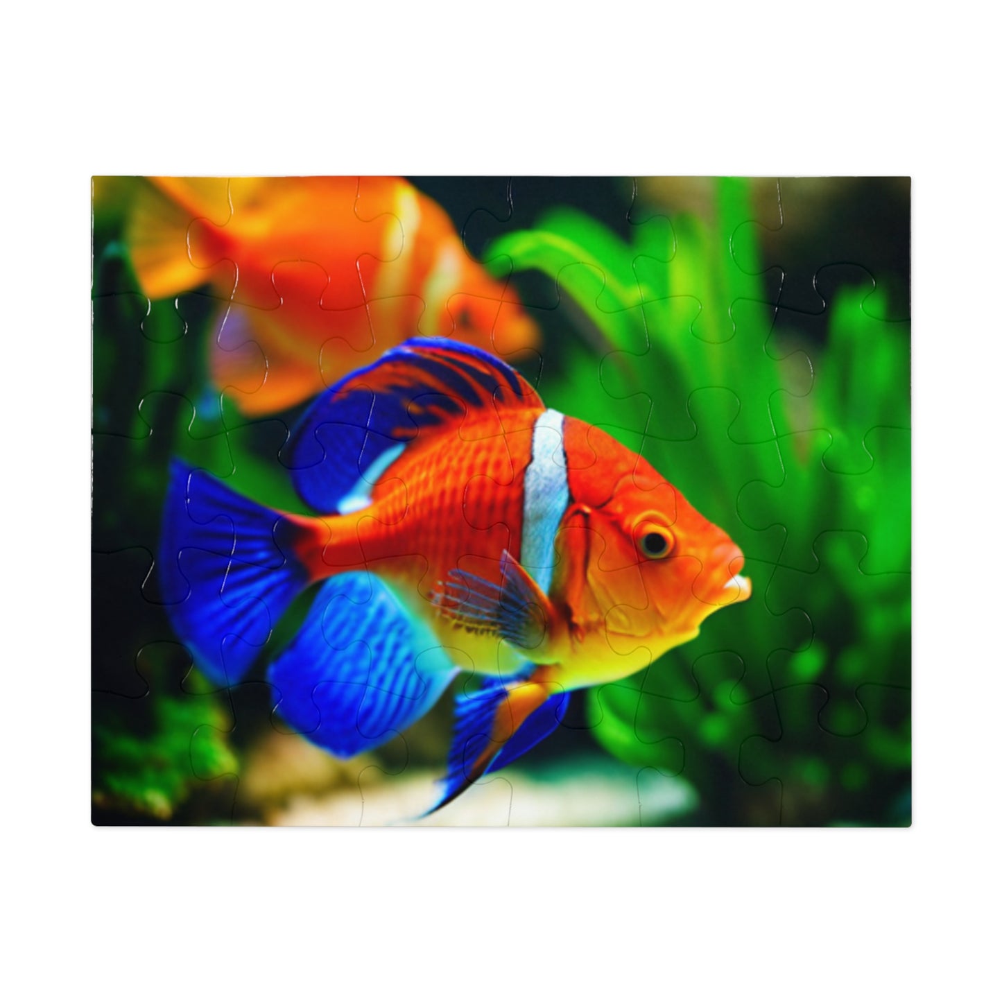 Jigsaw Puzzle (30, 110, 252, 500, and 1000-Piece) (Orange Fish)