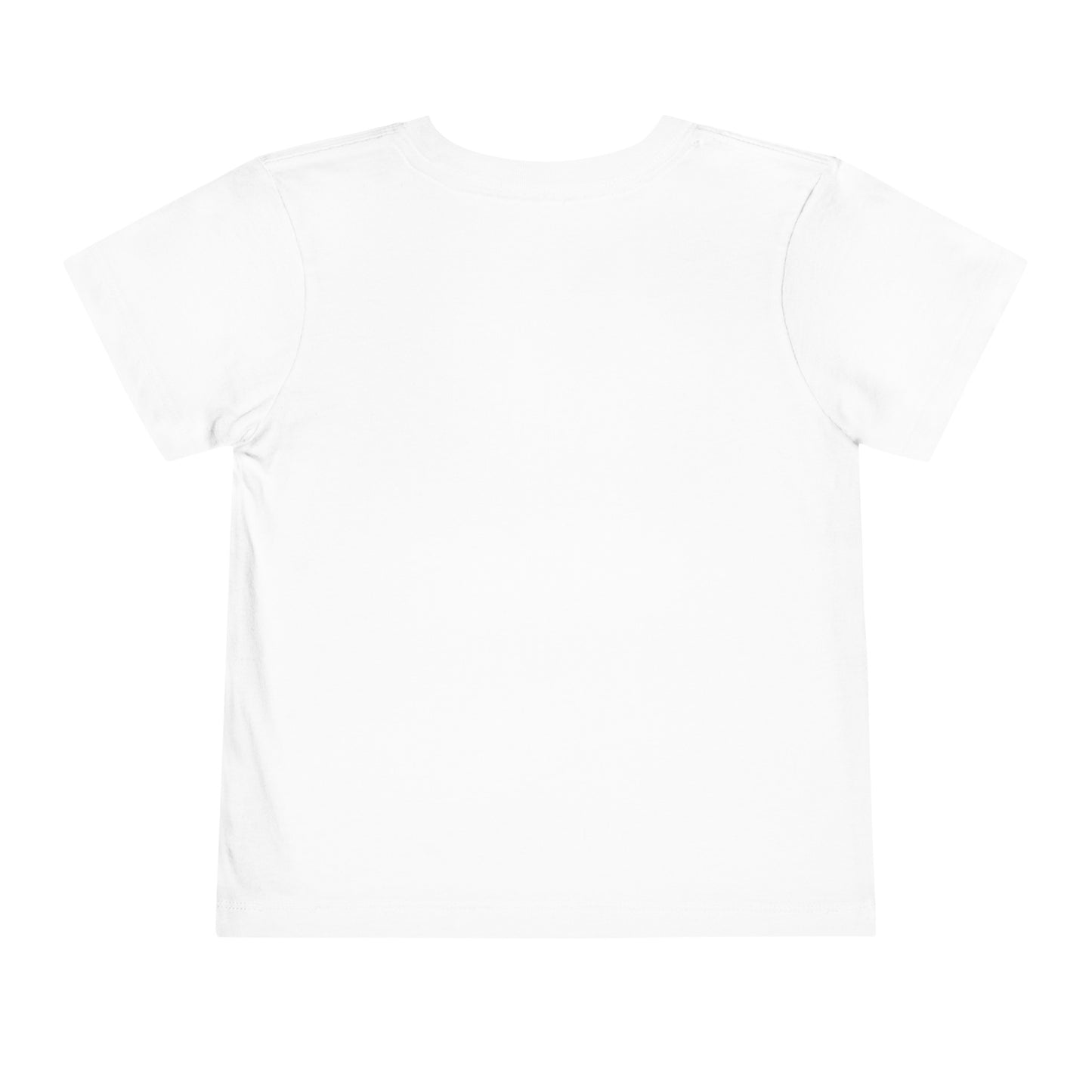 Toddler Short Sleeve Tee (Dolphin Beach Ball)
