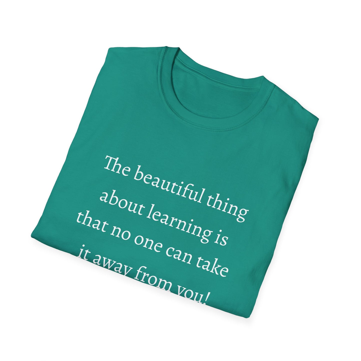 Unisex Softstyle T-Shirt (Beautiful Thing)