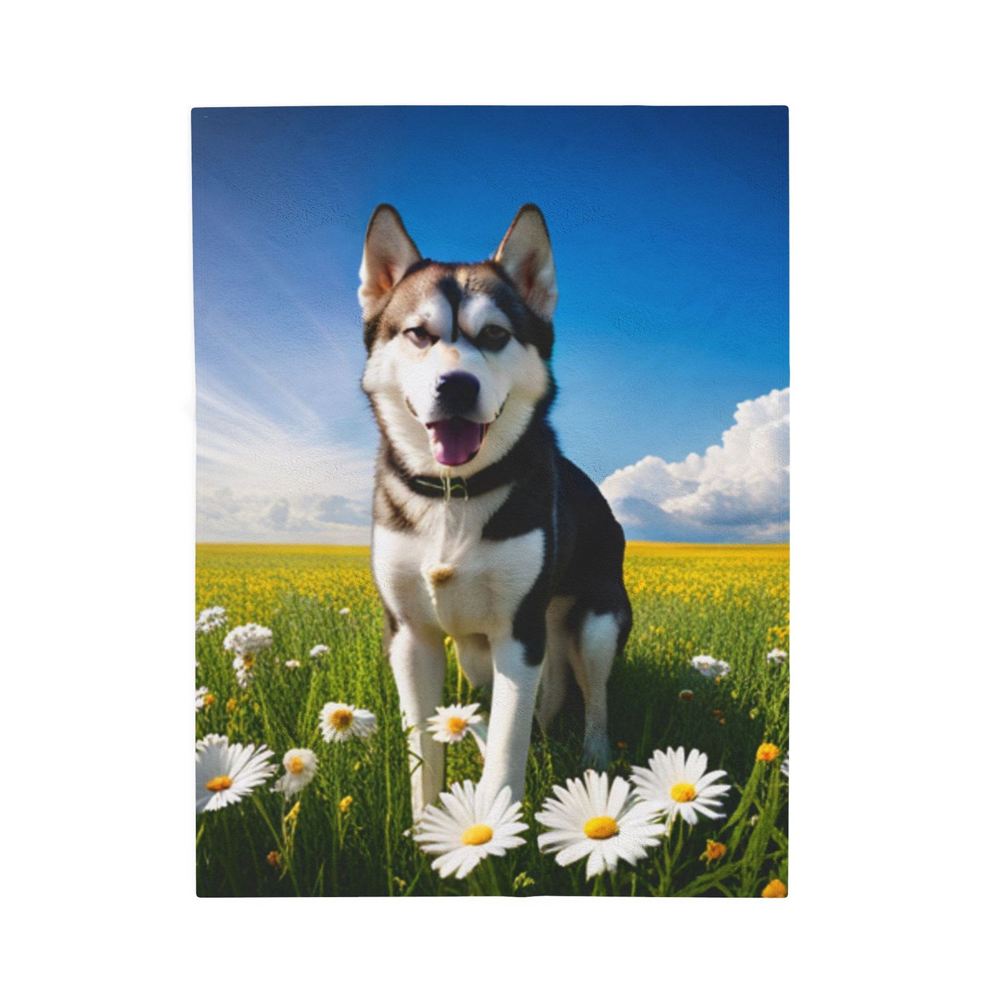 Velveteen Plush Blanket (Husky)