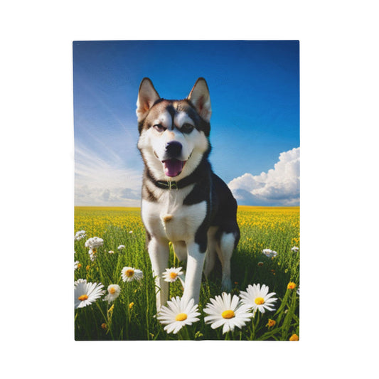 Velveteen Plush Blanket (Husky)