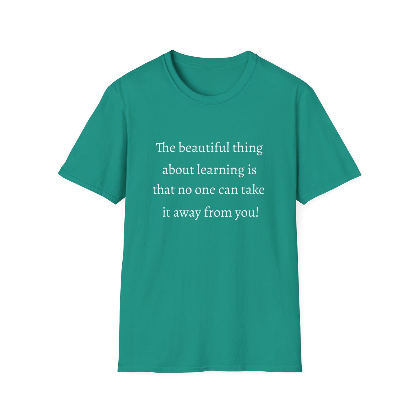 Unisex Softstyle T-Shirt (Beautiful Thing)