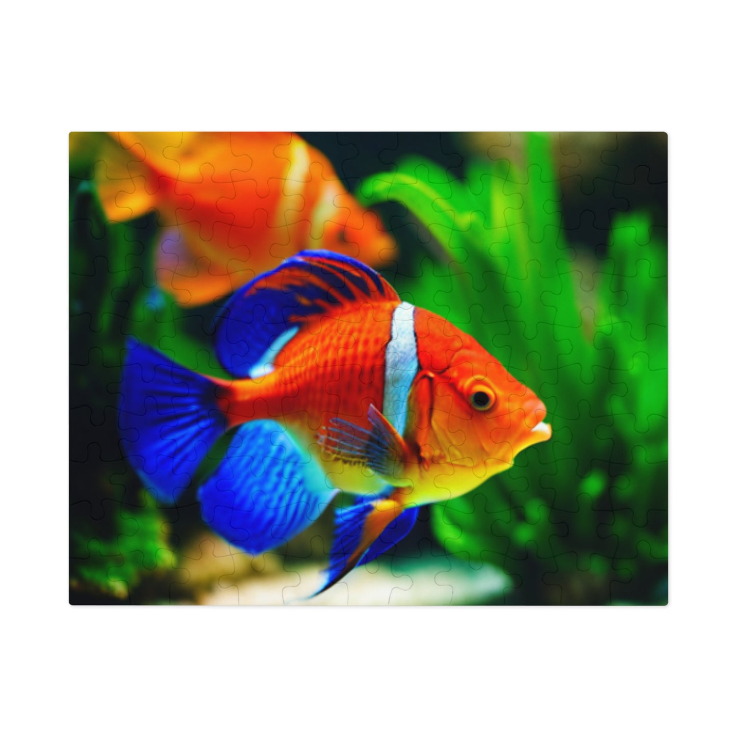 Jigsaw Puzzle (30, 110, 252, 500, and 1000-Piece) (Orange Fish)