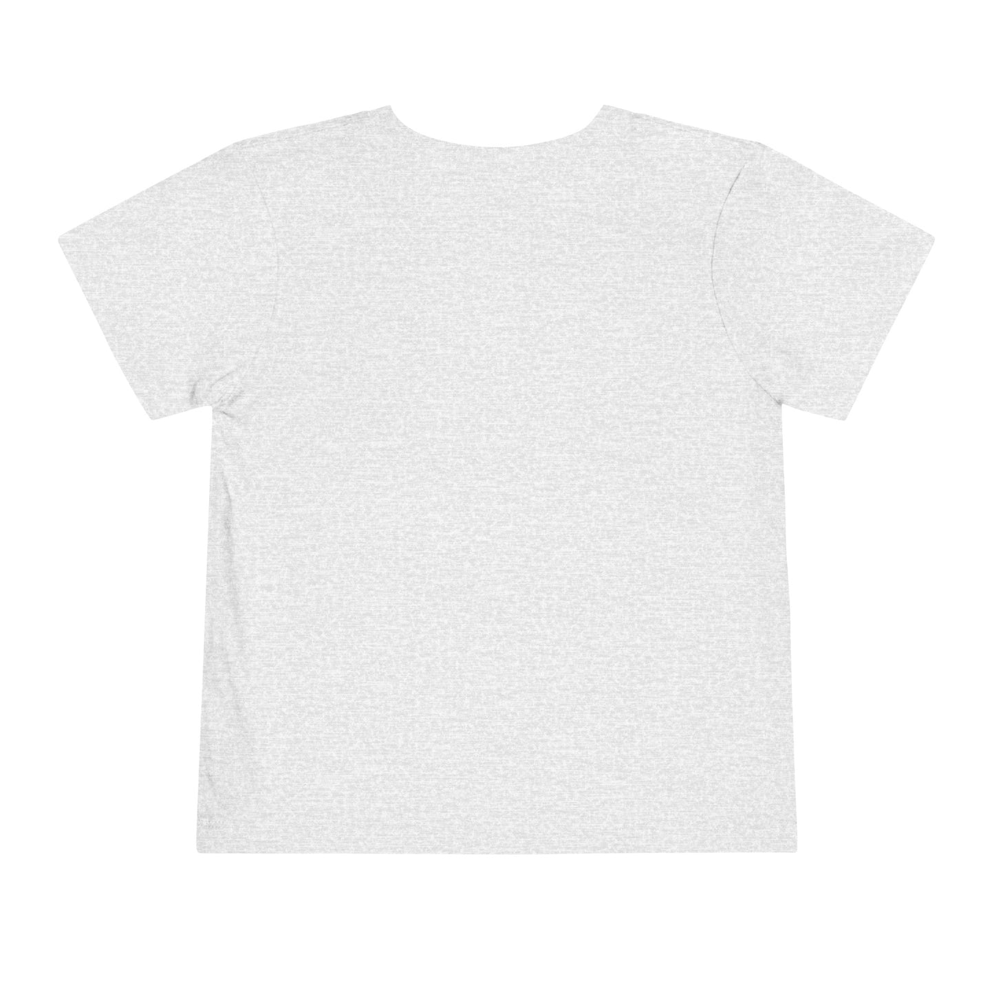 Toddler Short Sleeve Tee (Dolphin Beach Ball)