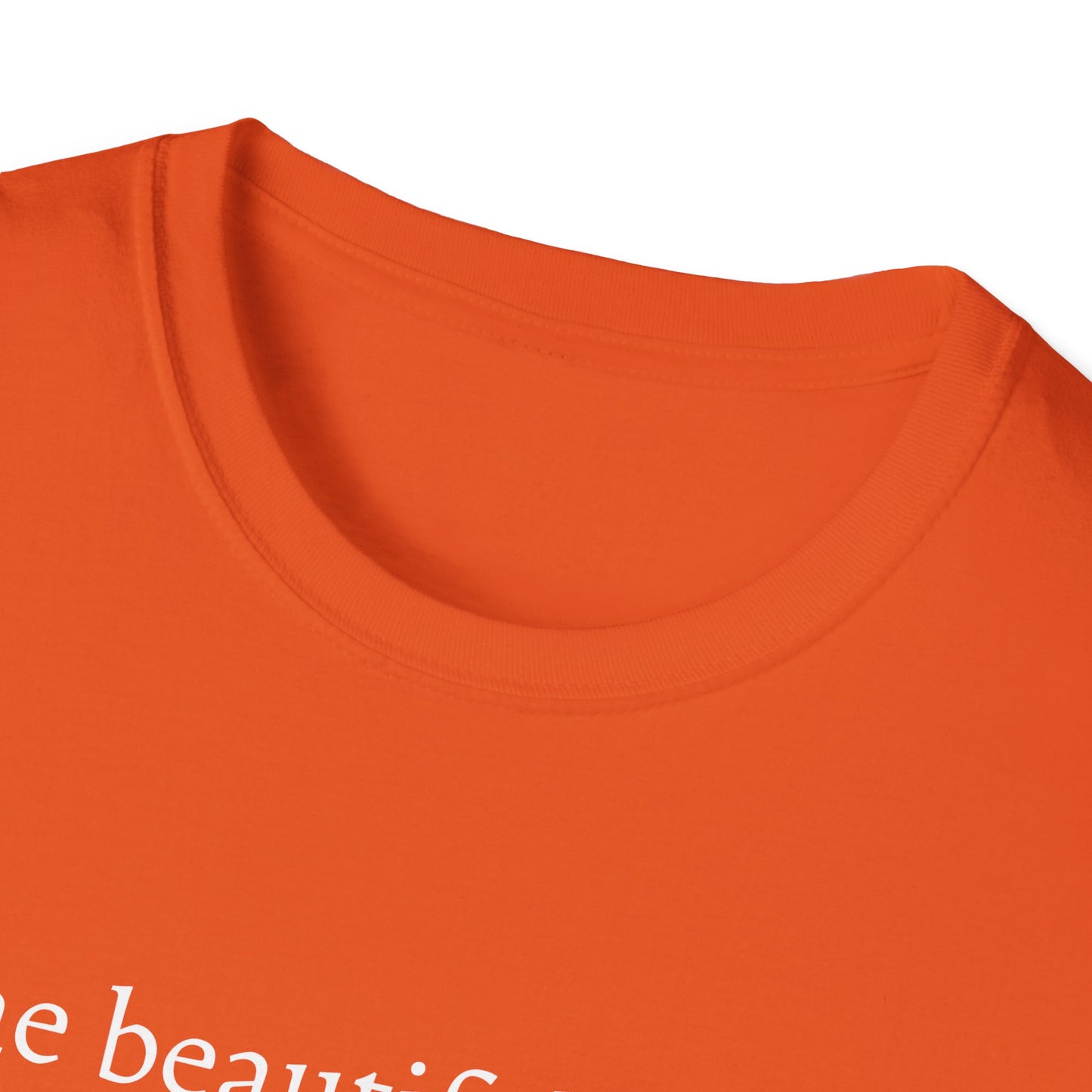 Unisex Softstyle T-Shirt (Beautiful Thing)