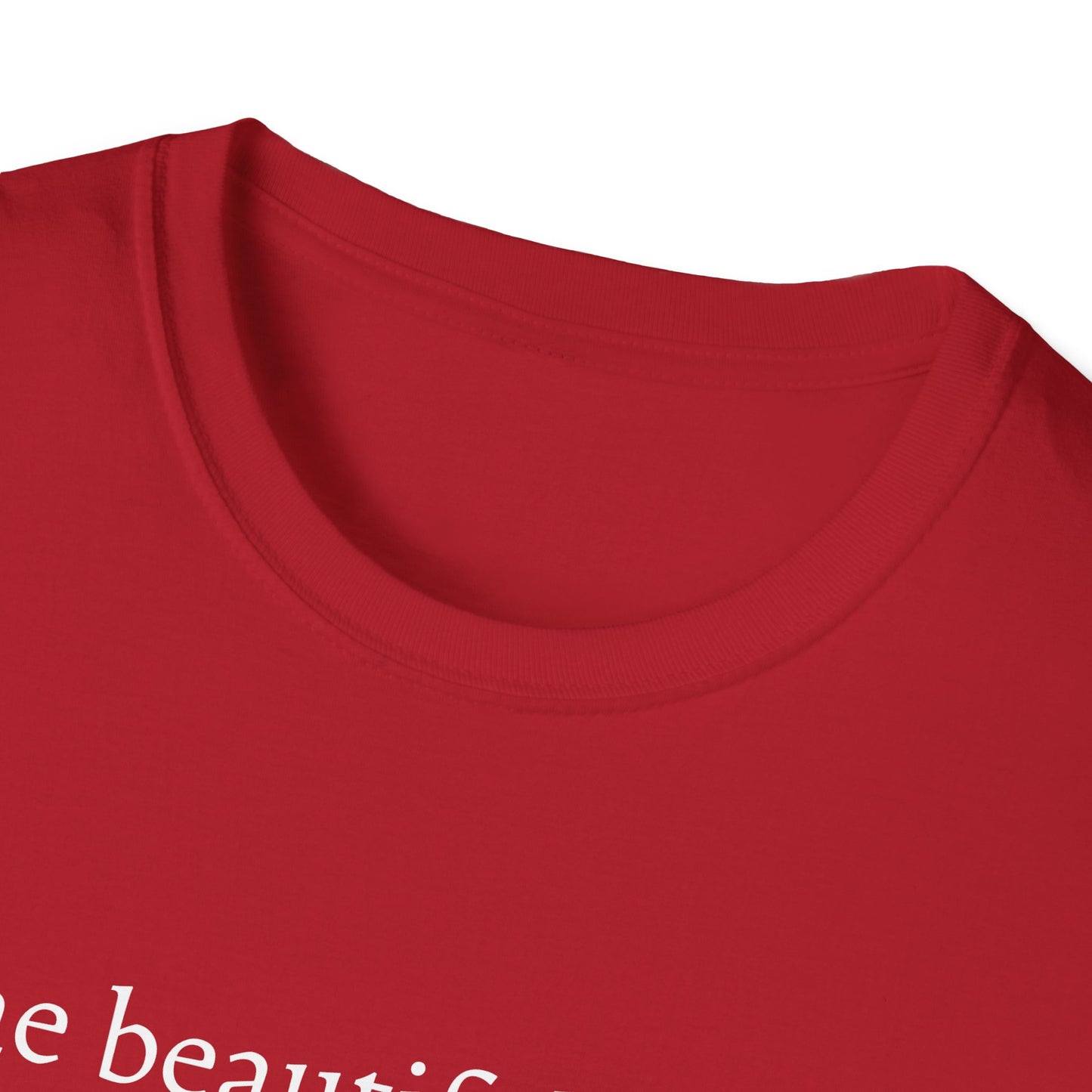 Unisex Softstyle T-Shirt (Beautiful Thing)
