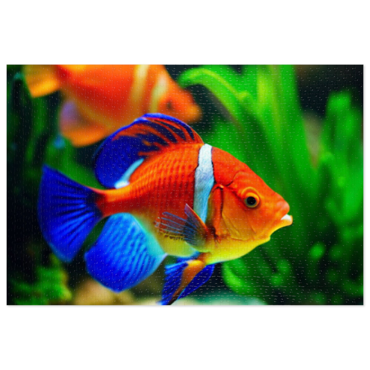 Jigsaw Puzzle (30, 110, 252, 500, and 1000-Piece) (Orange Fish)