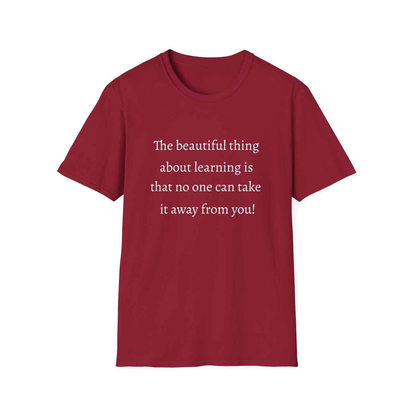 Unisex Softstyle T-Shirt (Beautiful Thing)