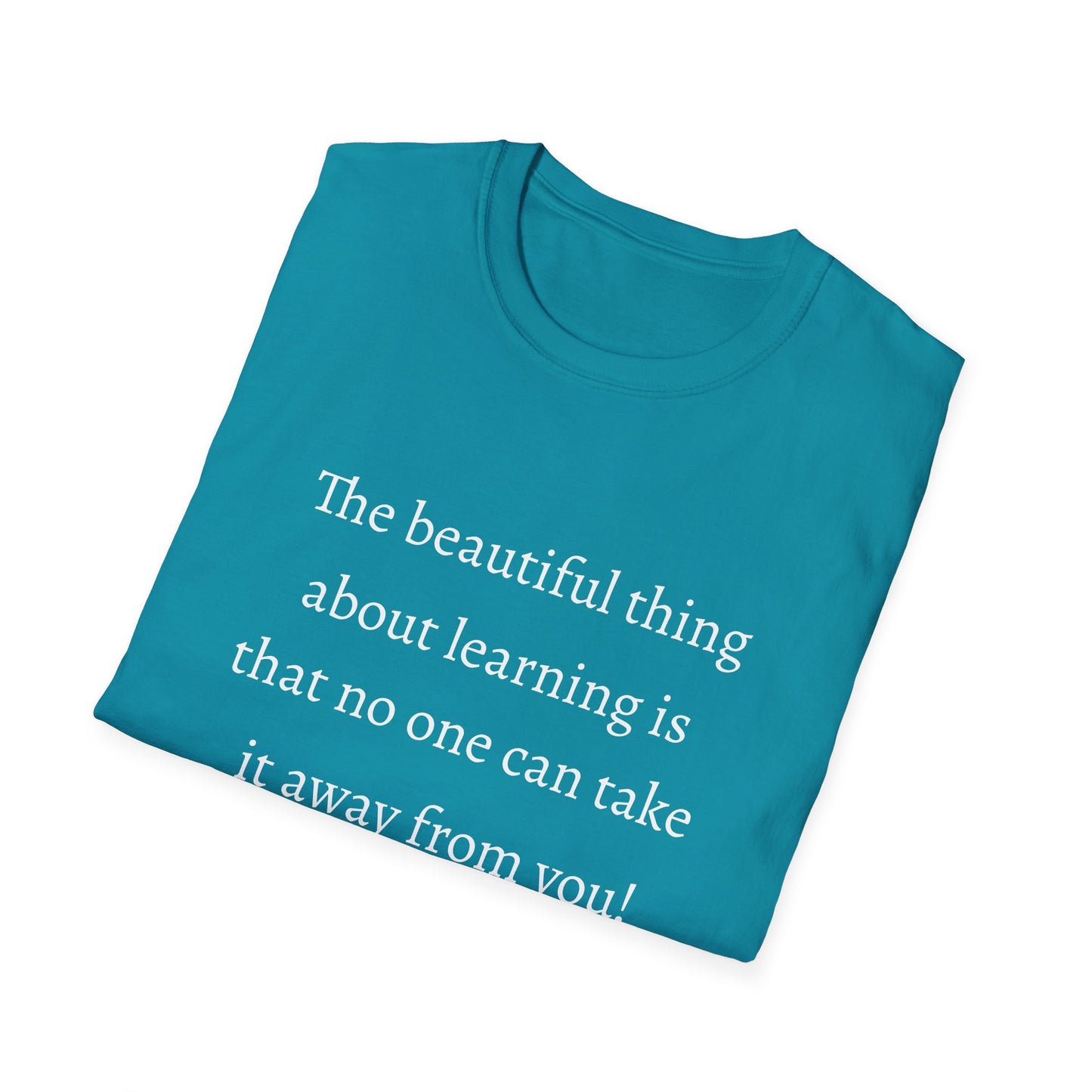 Unisex Softstyle T-Shirt (Beautiful Thing)