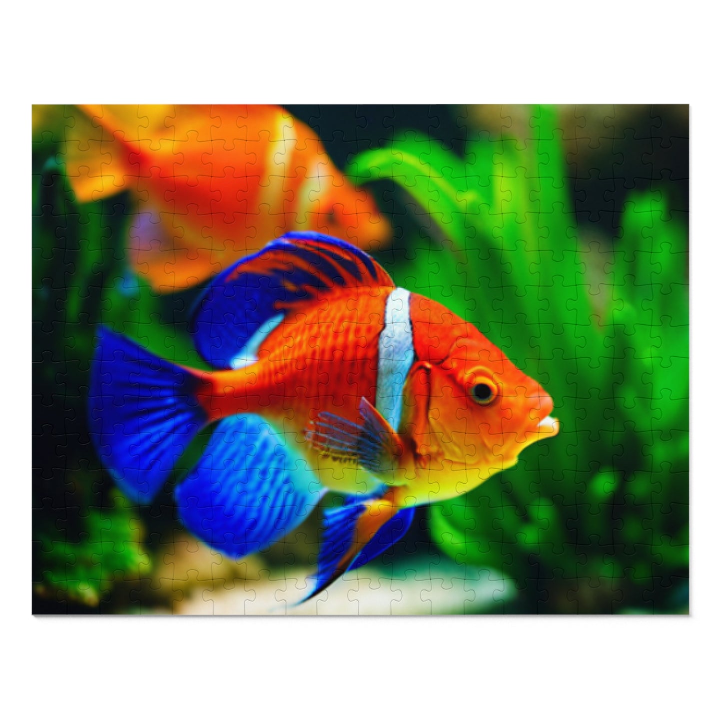 Jigsaw Puzzle (30, 110, 252, 500, and 1000-Piece) (Orange Fish)