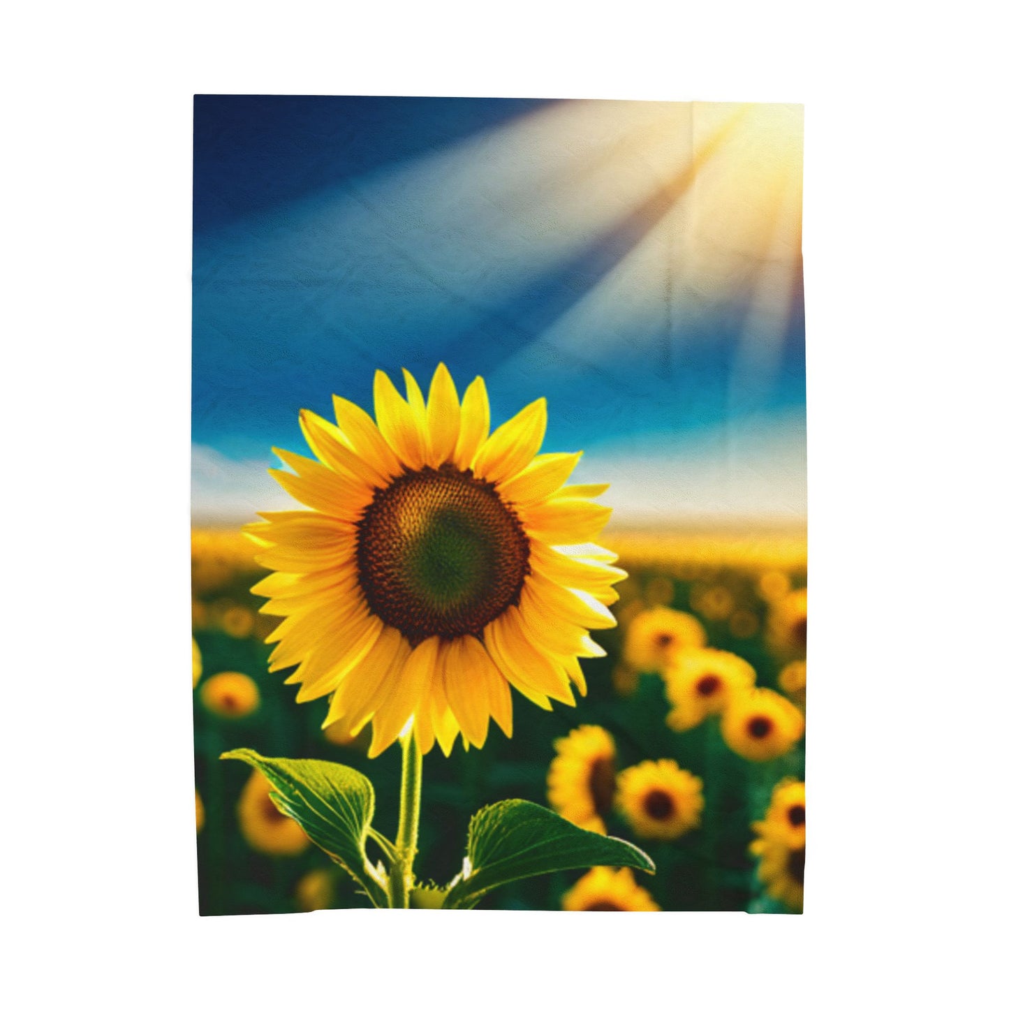Velveteen Plush Blanket (Sunflower)