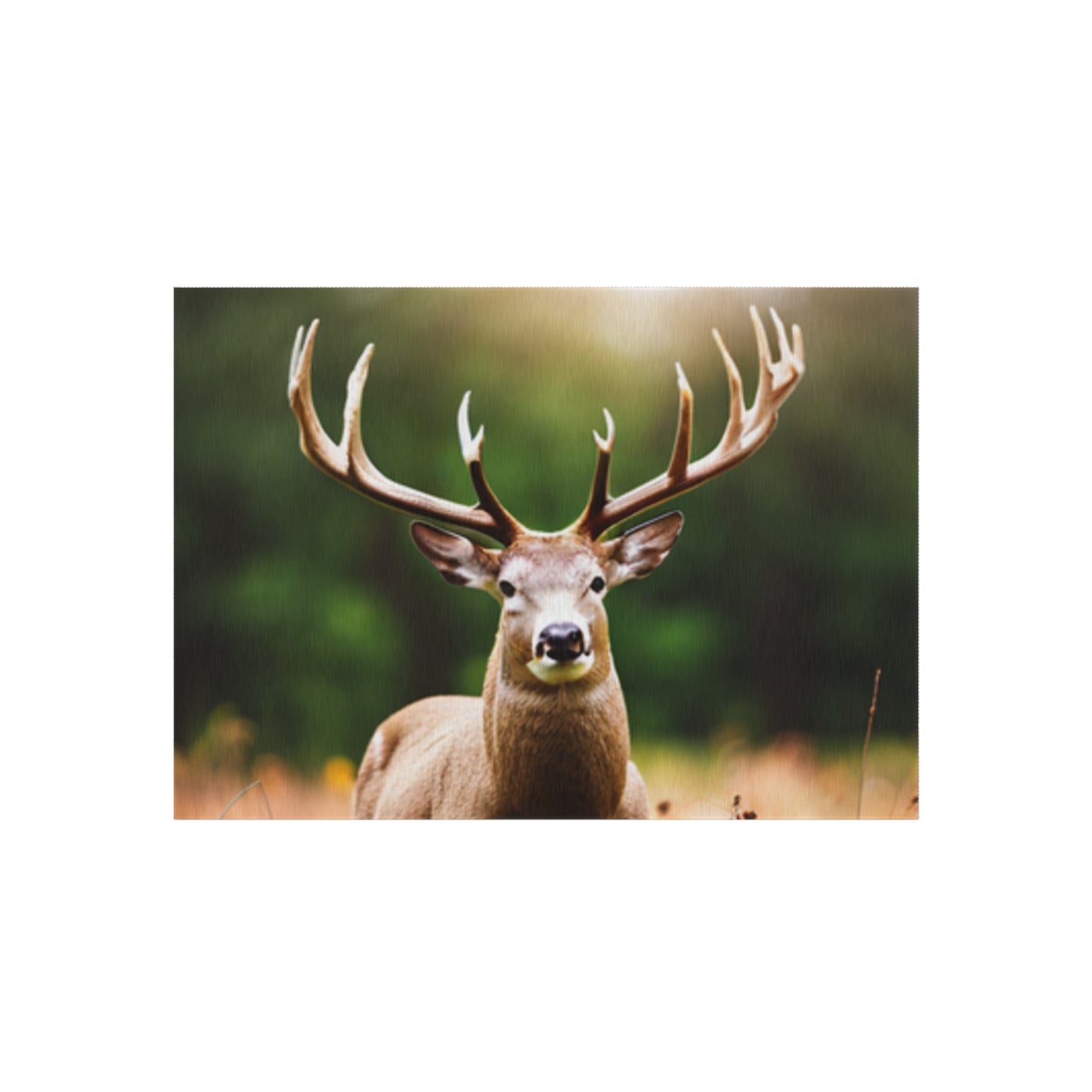 Outdoor Rug (Deer/Buck)