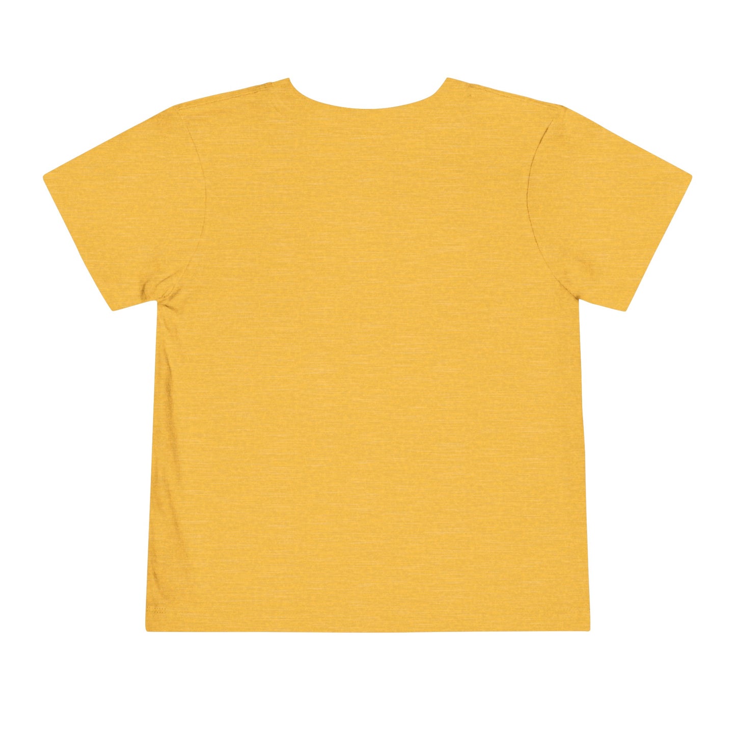 Toddler Short Sleeve Tee (Dolphin Beach Ball)